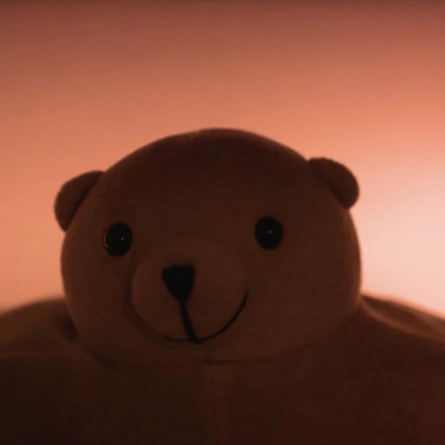 Pip The Bear