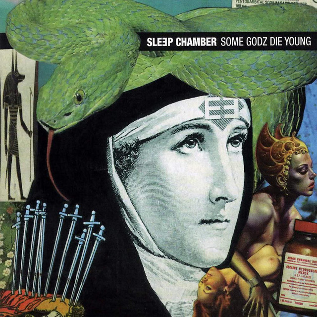 Some Godz Die Young cover