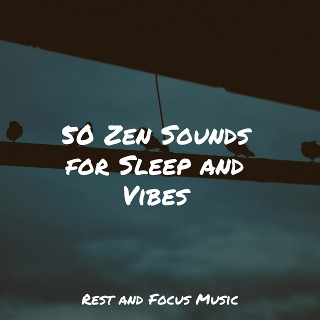 50 Zen Sounds for Sleep and Vibes - Album by Chakra Meditation Universe ...