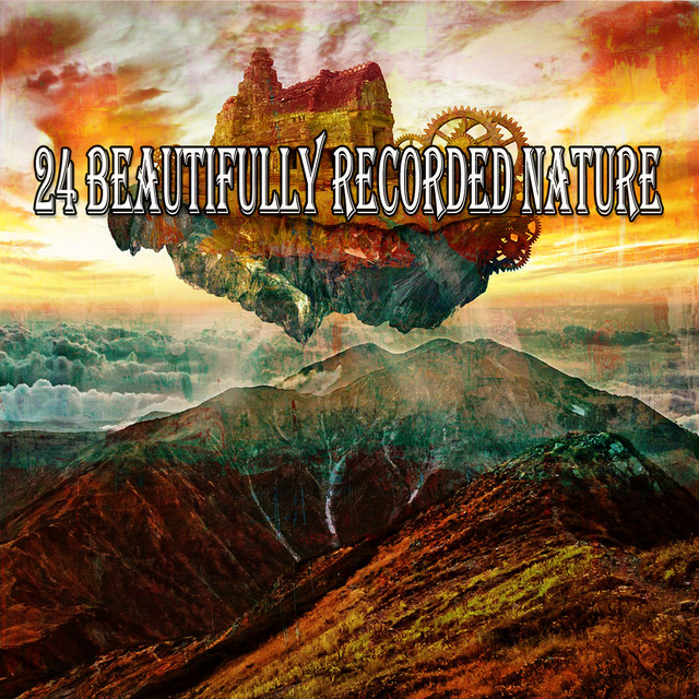 24 Beautifully Recorded Nature - Album by Nature Sounds Nature Music ...