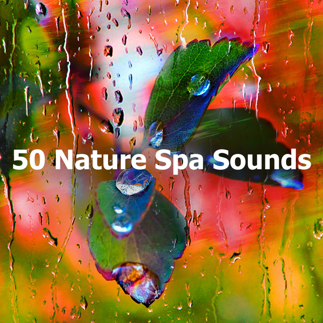 50 Nature Spa Sounds - Album by Rain Sounds for Sleeping | Spotify