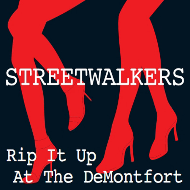 Rip It Up At The DeMontfort cover art