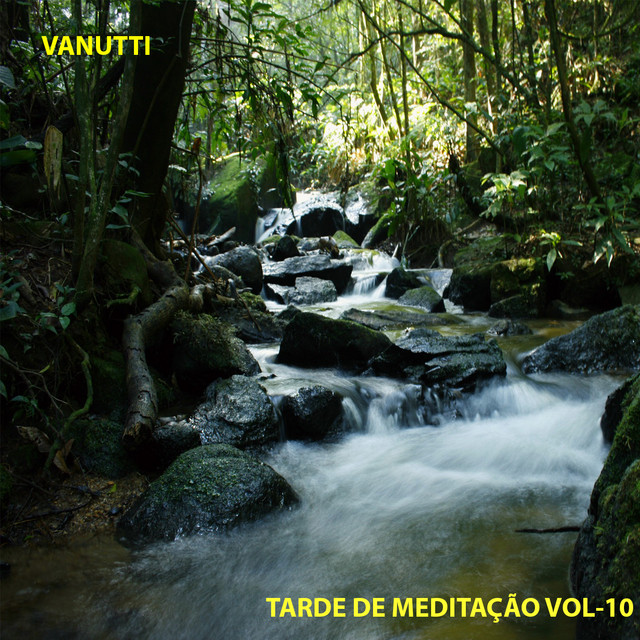 Tarde de Meditação, Vol. 10 cover art