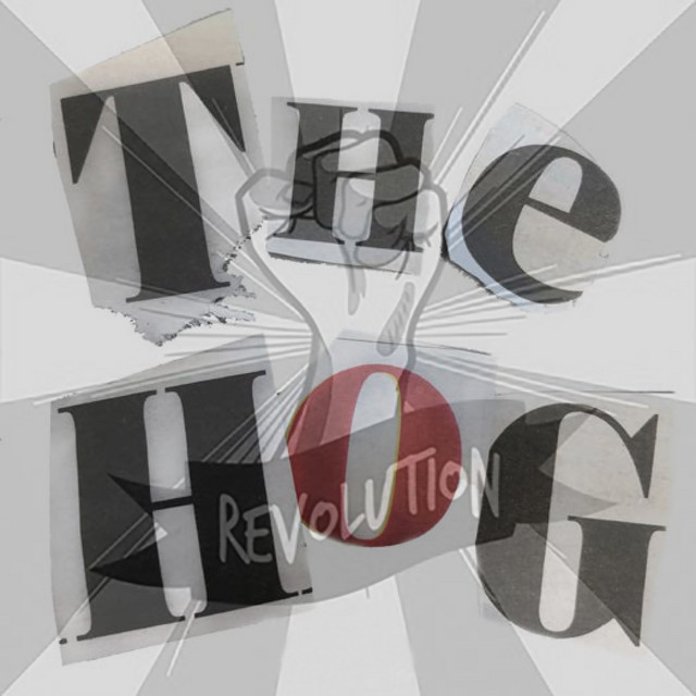 Revolution - Single by The Hog | Spotify