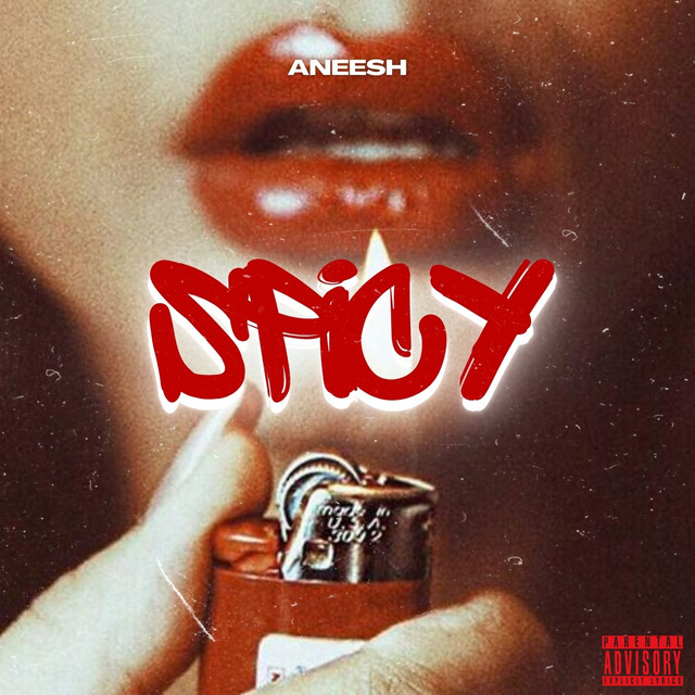 Spicy cover art