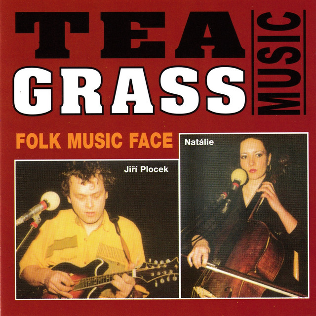 Folk music face / Folklorní tvář cover