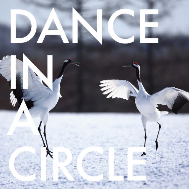 Dance in a circle cover