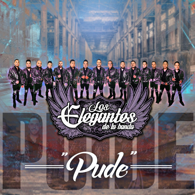 Los Elegantes De La Banda - Songs, Events and Music Stats | Viberate.com