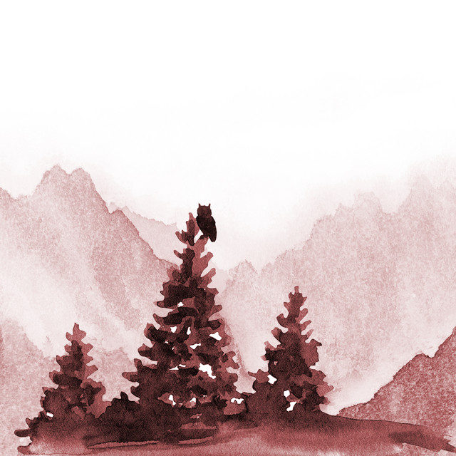 cover to cover cover art