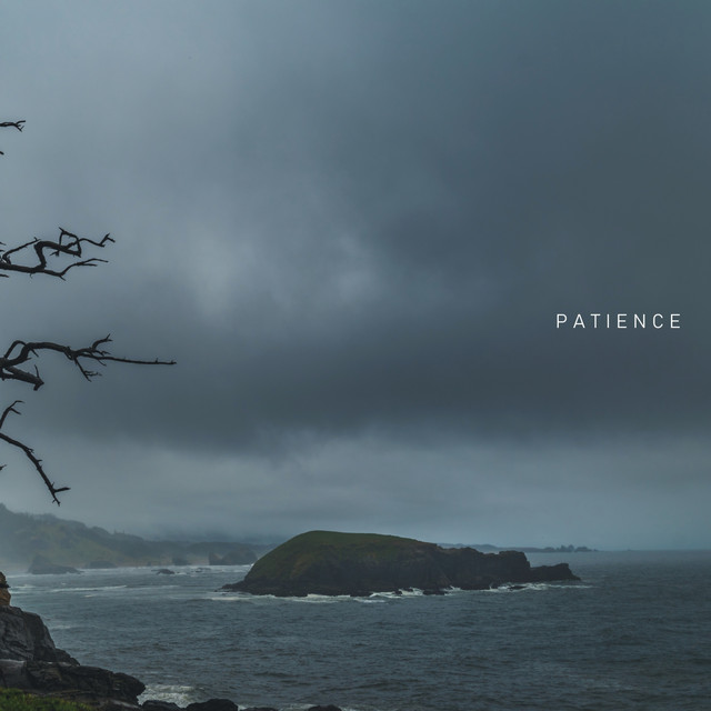 Patience cover