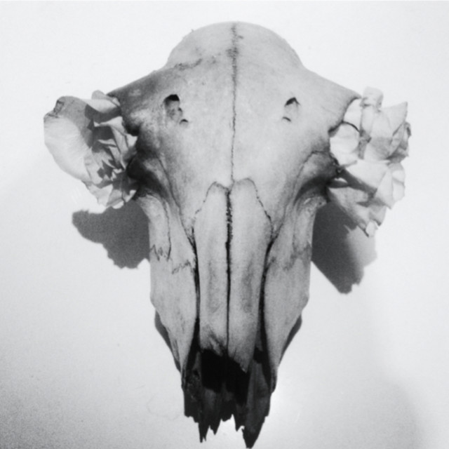 WOLFEP018 cover art