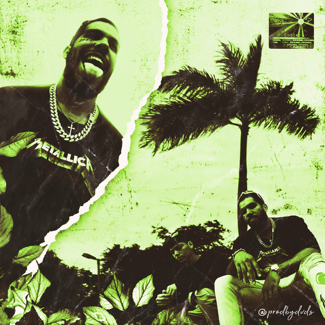 Plug 79 cover art