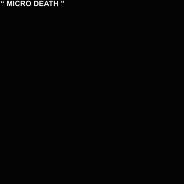 Micro Death cover art