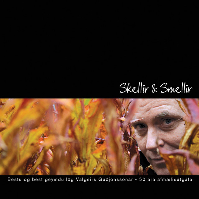 Skellir & smellir cover art