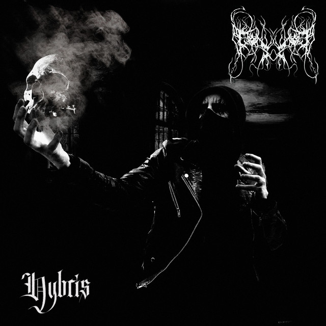 Hybris cover