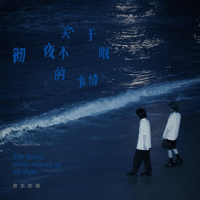 关于彻夜不眠的事情 cover art