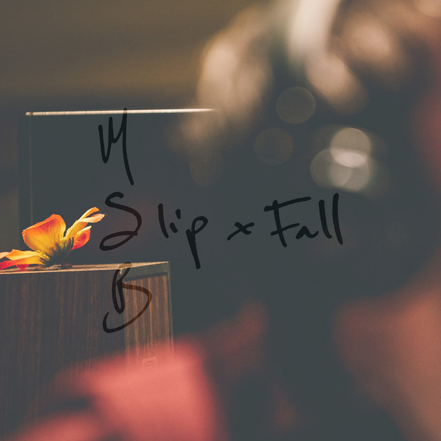 Slip and Fall cover