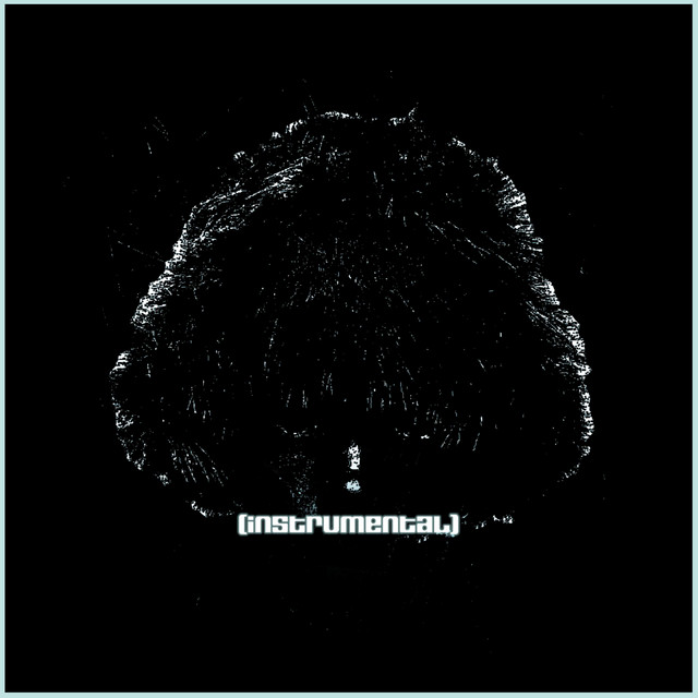 But, Did You Have Fun? (Instrumentals) cover art