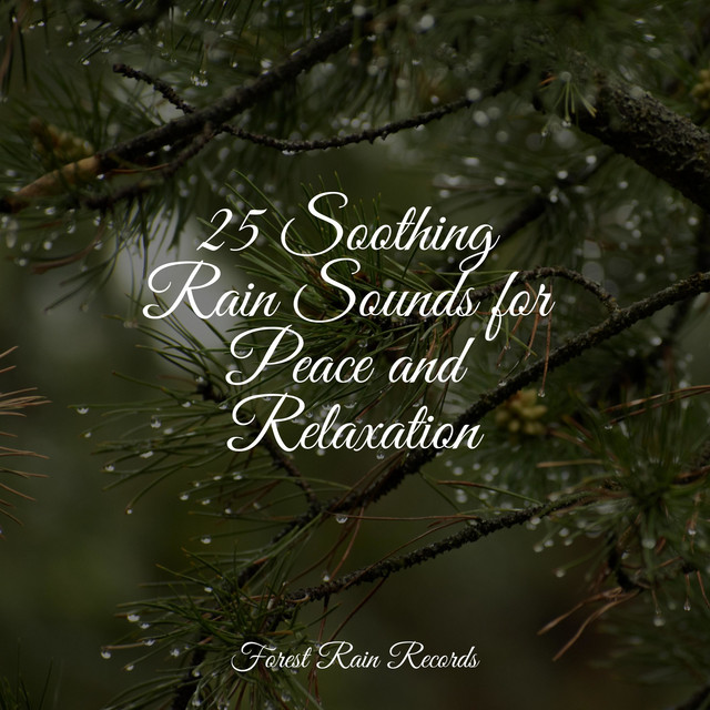 25 Soothing Rain Sounds for Peace and Relaxation - Album by Namaste ...