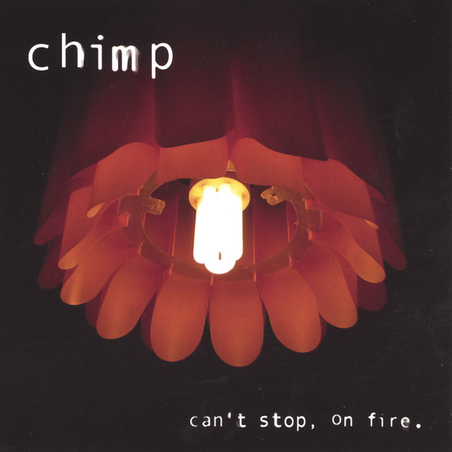 can't stop, on fire cover art
