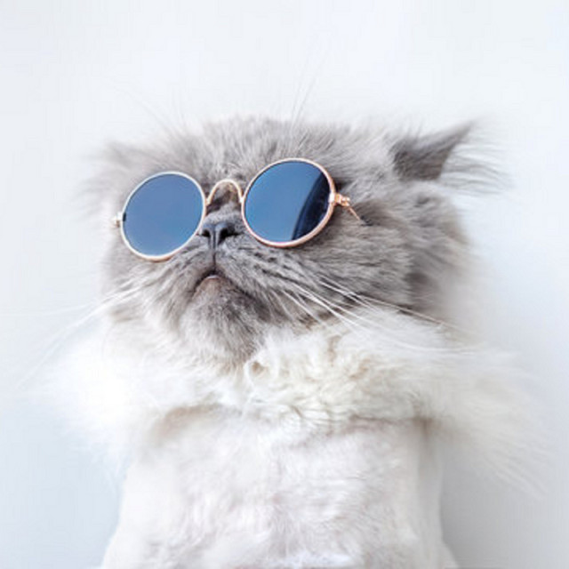 Hiqie – Cooling down with style
