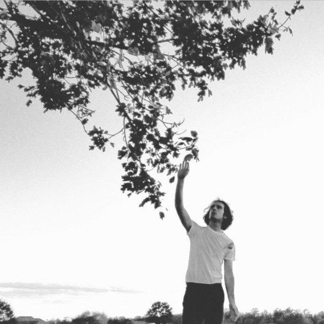 Falling Leaves - Single by altar | Spotify