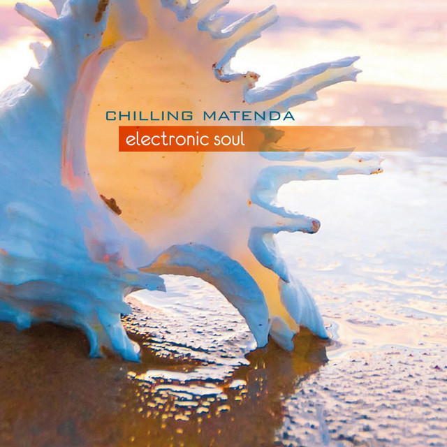 Electronic soul cover art
