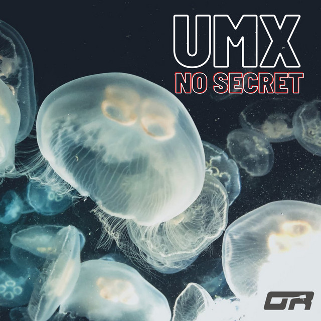 No Secrets cover art