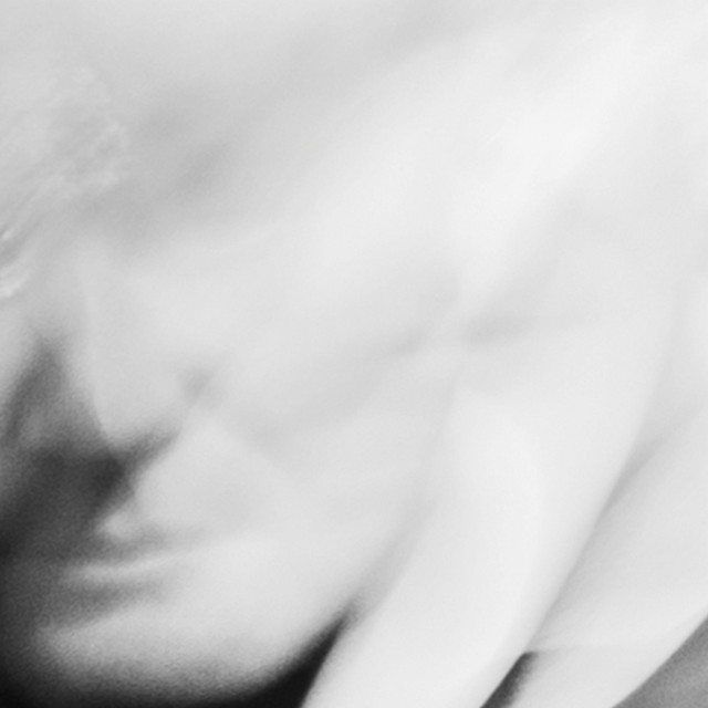 EXEGESIS cover art