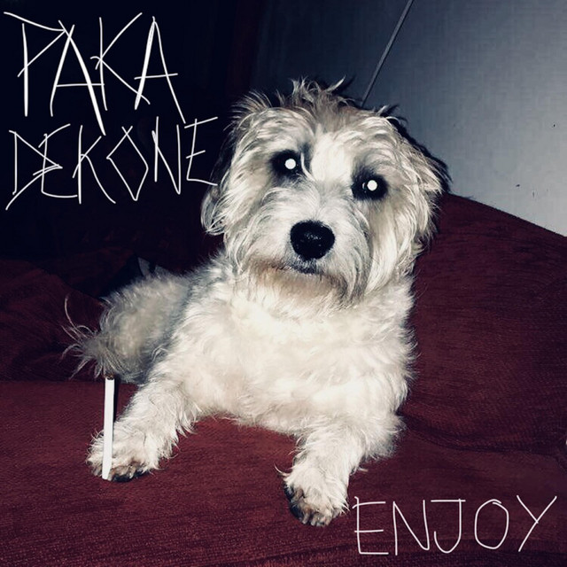 Enjoy cover art