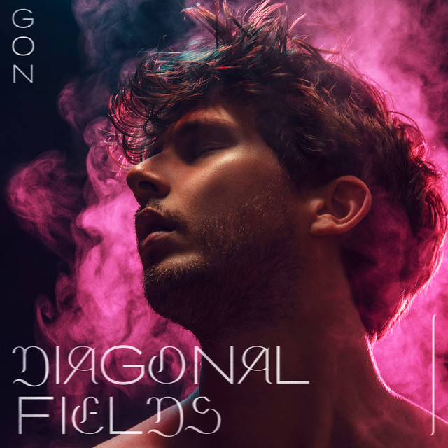 Diagonal Fields cover art