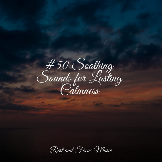#50 Soothing Sounds for Lasting Calmness - Album by Massage | Spotify