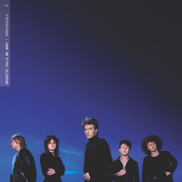 Omslag för Irreversible av Brigitte Calls Me Baby