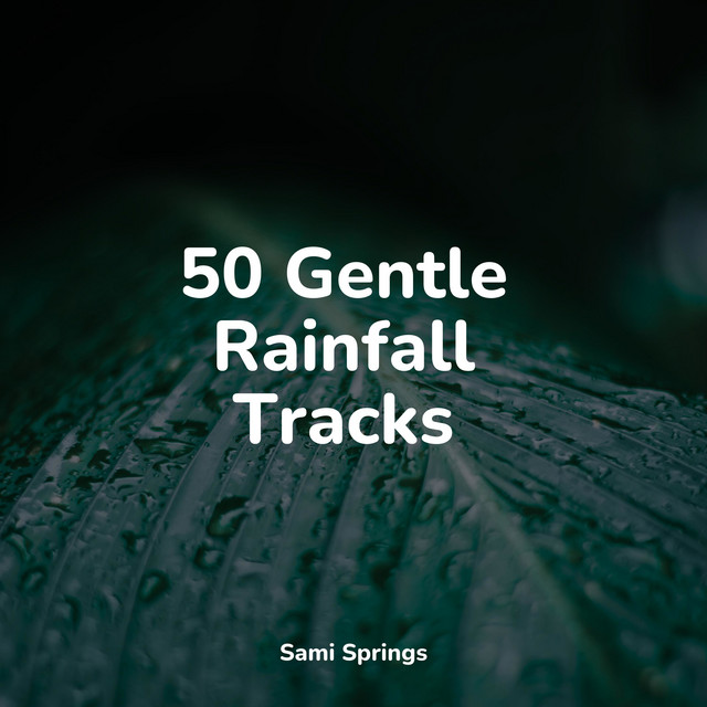 50 Gentle Rainfall Tracks - Album by Pro Sound Effects Library | Spotify