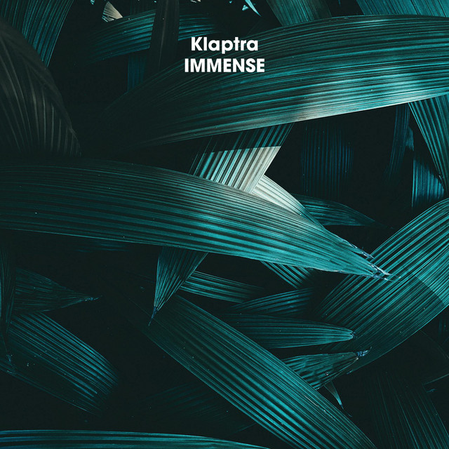 Immense cover art