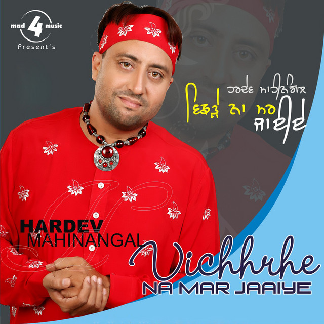 Vichhrhe Na Mar Jaaiye cover art