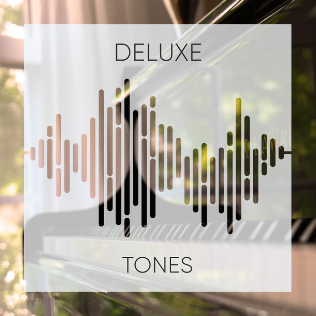 Deluxe Study Tones cover art