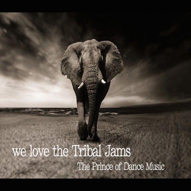 We Love the Tribal Jams cover art
