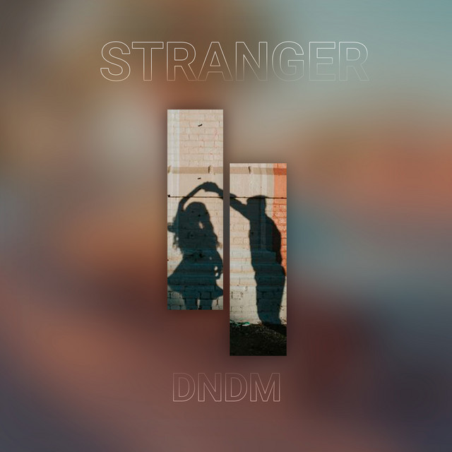 Stranger cover art