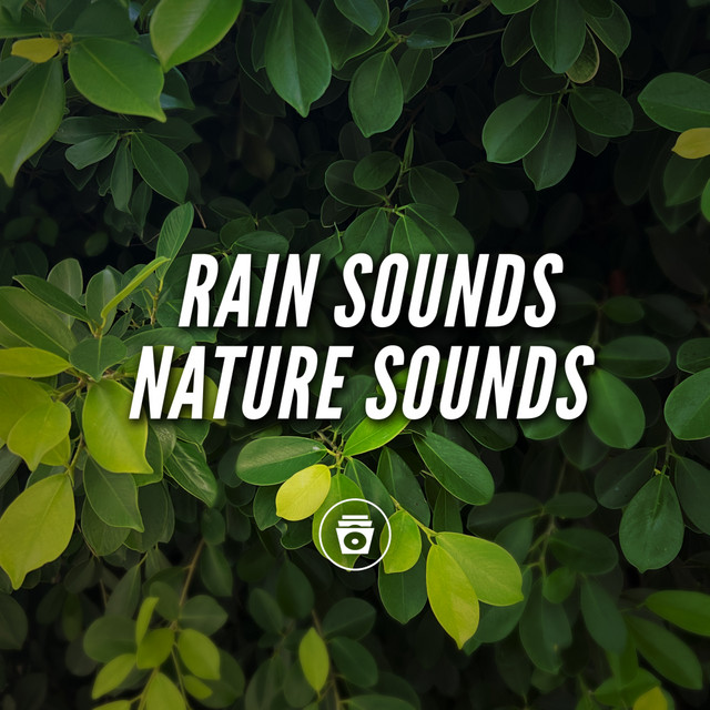 Rain Sounds Nature Sounds cover art