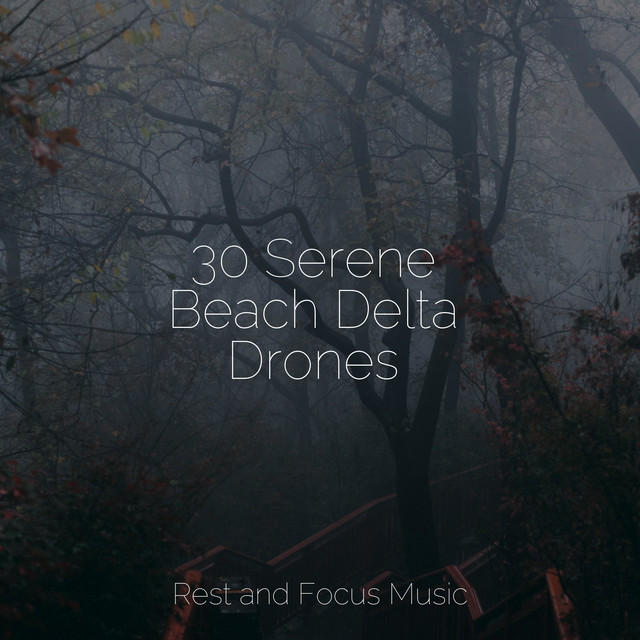 30 Serene Beach Delta Drones - Album by Bath Spa Relaxing Music Zone ...
