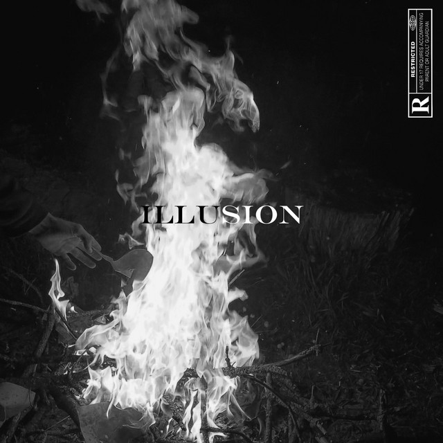 Illusion cover art