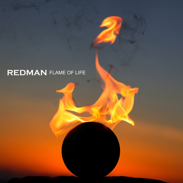 FLAME OF LIFE cover art