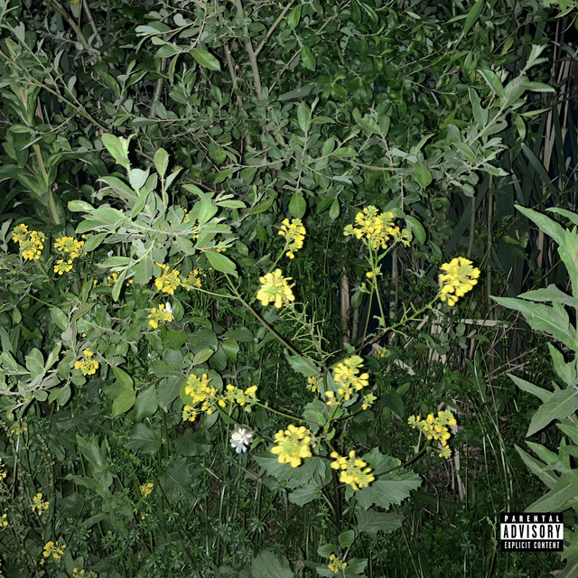 RIPRNB 2 cover art