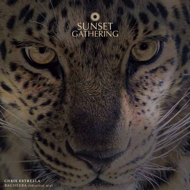 Bagheera - Original Mix