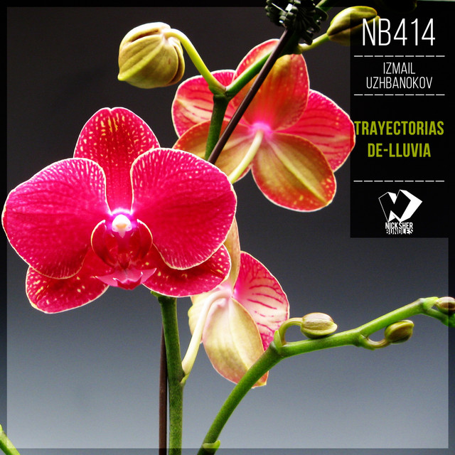 Trayectorias De-Lluvia cover art