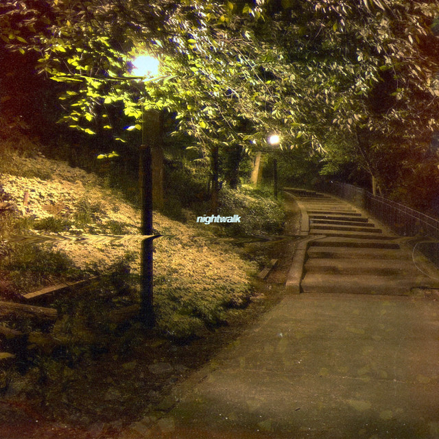 Nightwalk cover art