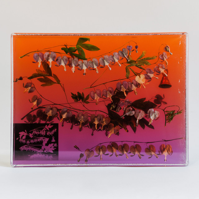 Landfills, Gardens, Nurseries album image