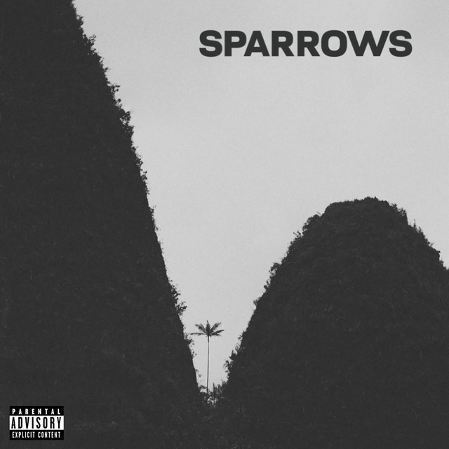 sparrows