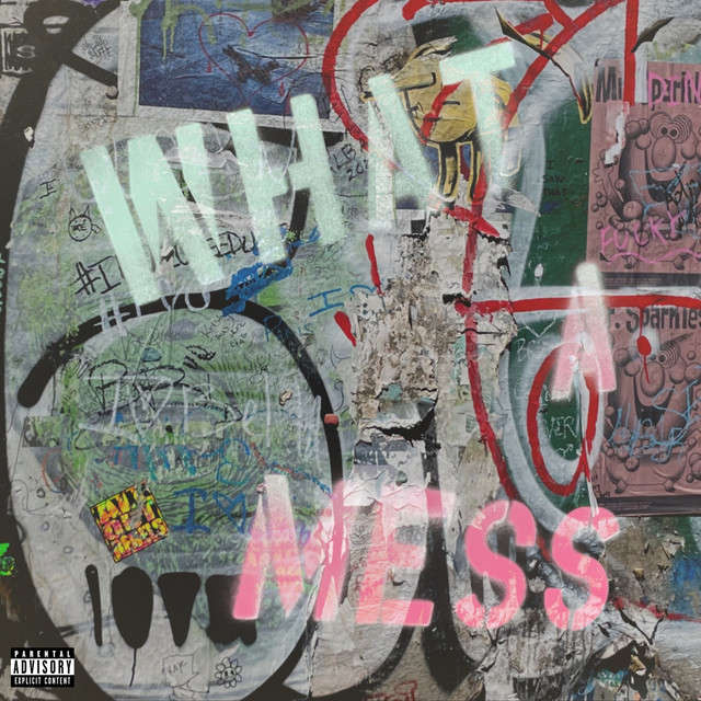 What a Mess cover art